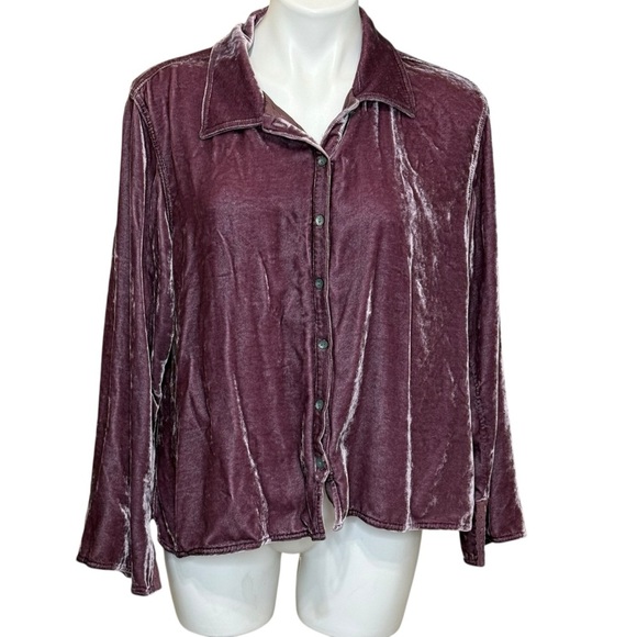 J. Jill Tops - J Jill velvet button-down tunic shirt  blouse large petite.